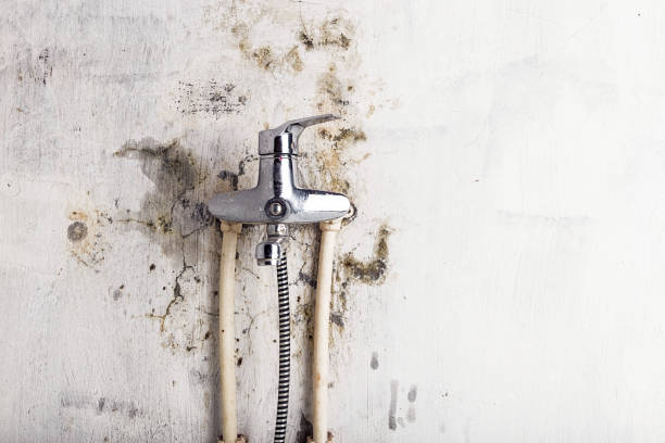 Best Mold Testing  in Copperopolis, CA