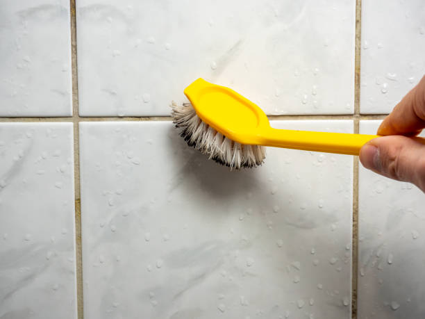 Best Mold Cleaning Services  in Copperopolis, CA