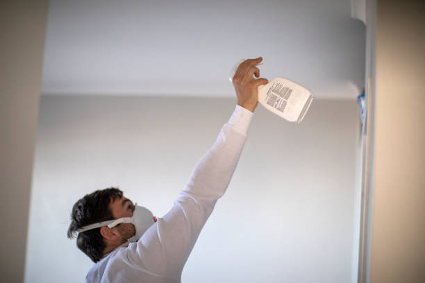Best Toxic Mold Removal  in Copperopolis, CA