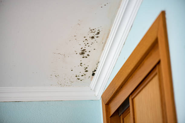 Water Damage Restoration in Copperopolis, CA