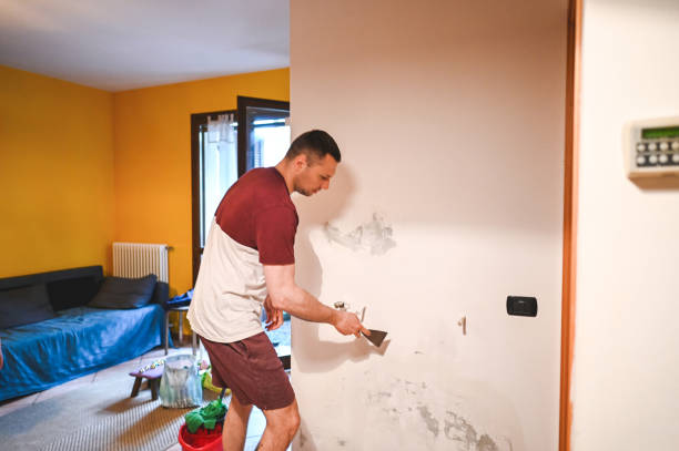 Office Mold Removal Services in Copperopolis, CA